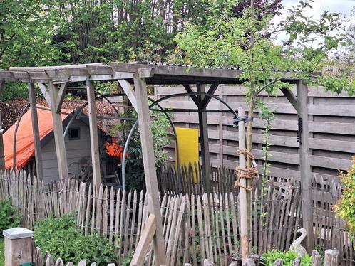 Pergola overkapping Hillhout, Tuin en Terras, Overkappingen, Gebruikt, Overige typen, Ophalen