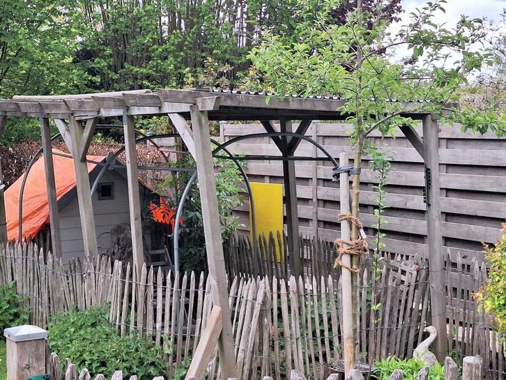 Pergola overkapping Hillhout, Tuin en Terras, Overkappingen, Gebruikt, Overige typen, Ophalen