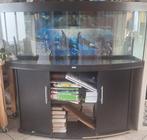 juwel vision 450 aquarium tekoop, Dieren en Toebehoren, Vissen | Aquaria en Toebehoren, Ophalen, Gebruikt, Leeg aquarium