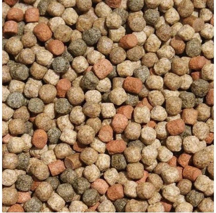 Nourriture koï, mélange 3/6 mm. Qualite, Prix promotionnel, Animaux & Accessoires, Poissons | Poissons d'étang