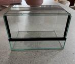 Terrarium inverterbrés ou reptile petite taille, Animaux & Accessoires, Reptiles & Amphibiens | Accessoires, Enlèvement, Comme neuf