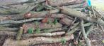 Brandhout op stam te koop, Ophalen of Verzenden