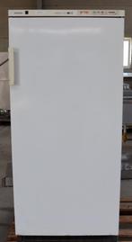 Siemens Comfort Plus vriezer, Gebruikt, 160 cm of meer, Ophalen, Vrieskast