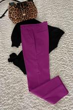 Broek Pinko, Paars, Nieuw, Ophalen of Verzenden, Driekwart