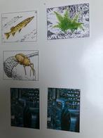 Stickers: reeks WWF Panini: nature in danger, Verzamelen, Ophalen of Verzenden, Nieuw, Dier en Natuur