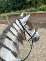 Bomproove robuuste ruin, Vermifugé, B, Hongre, Moins de 160 cm