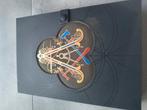 Tomorrowland Treasure Case 2023 Rise of Adsceno, Ophalen of Verzenden