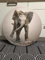 Wanddecoratie olifant, Ophalen, Zo goed als nieuw