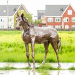 Levensgroot metalen paard - bieden, Ophalen of Verzenden