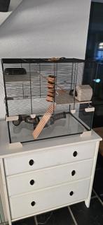 Ferplast Knaagdierenkooi Karat 60 - hamsterkooi, Dieren en Toebehoren, Ophalen, Zo goed als nieuw, Hamster