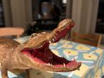 Opgezette kleine krokodil, Verzamelen, Ophalen, Zo goed als nieuw, Dier
