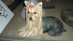 LEVENSGROOTE HOND IN POLYESTER, Antiek en Kunst, Curiosa en Brocante, Ophalen
