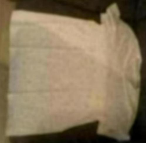Chemisette MEXX L, Kleding | Heren, T-shirts, Gedragen, Maat 52/54 (L), Wit, Ophalen of Verzenden