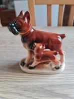 Beeld honden : boxer met pup ( porselein ), Ophalen of Verzenden