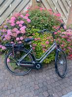 Sparta regular ebike, Fietsen en Brommers, Elektrische fietsen, Ophalen, Sparta