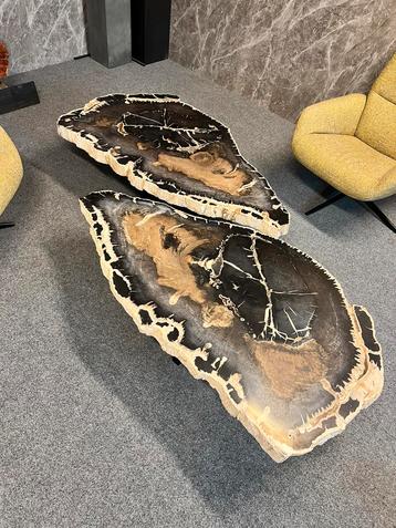 Prachtige set salontafels van versteend hout 