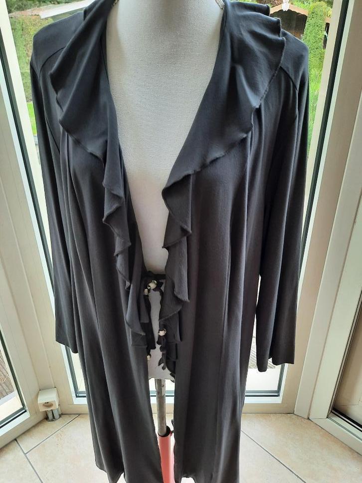 Charmant vest ACCENT - 46, Kleding | Dames, Truien en Vesten, Zo goed als nieuw, Maat 46/48 (XL) of groter, Grijs, Ophalen of Verzenden