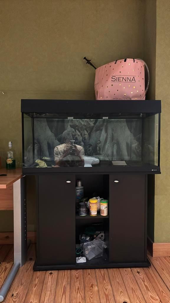 Aquarium met alles op en aan, Dieren en Toebehoren, Vissen | Aquaria en Toebehoren, Zo goed als nieuw, Ophalen