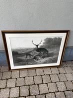 Mooie grote litho, Ophalen