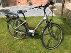 Thompson e-bike, Fietsen en Brommers, Gebruikt, Ophalen