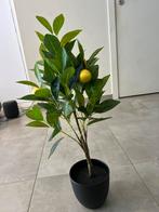 Plastic plantje, Huis en Inrichting, Woonaccessoires | Kunstplanten en Kunstbloemen, Ophalen, Zo goed als nieuw