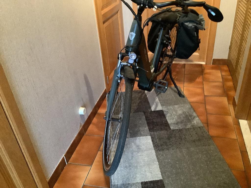 Elektrische fiets voor dames maat 46, Fietsen en Brommers, Ophalen, Veloretti, Zo goed als nieuw, Minder dan 47 cm