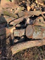 Eik op stam, Enlèvement, Chêne, Troncs d'arbres