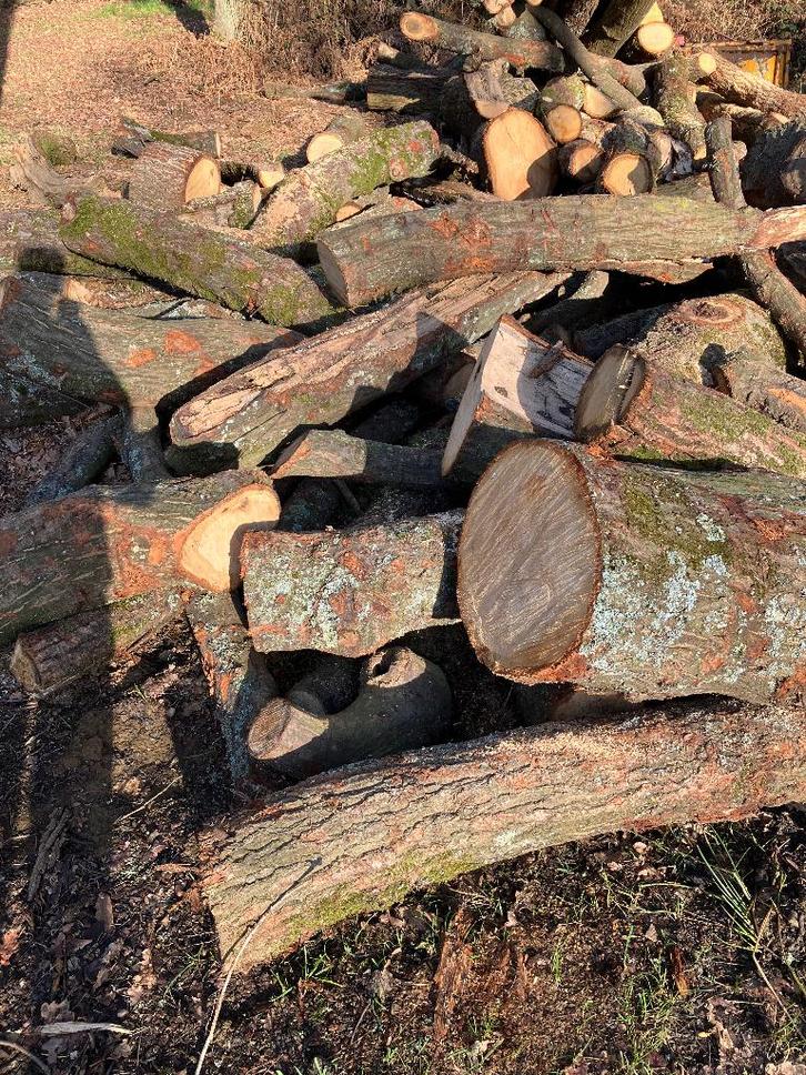 Eik op stam, Tuin en Terras, Brandhout, Stammen, Eikenhout, Ophalen