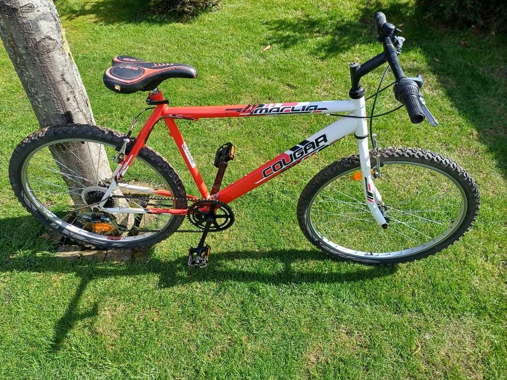 Vélo de montagne à vendre. Marque Cougar. Prix 75€, Enlèvement
