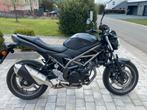 Suzuki SV650, Motos, Motos | Suzuki