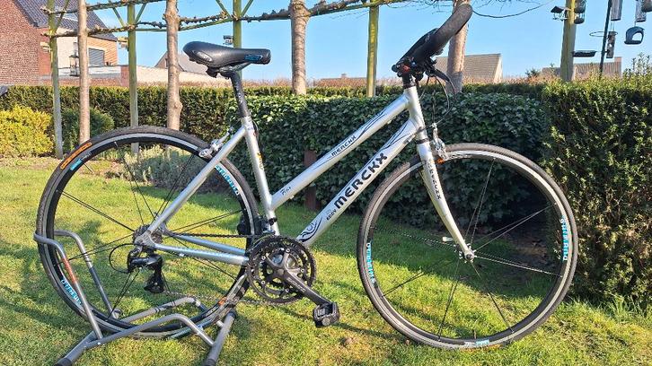 Eddy Merckx Flyer Damesfiets, Fietsen en Brommers, Fietsen | Dames | Damesfietsen, Gebruikt, Overige merken, (Extra) lage instap