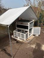 Kippenhok en toebehoren, Enlèvement, Comme neuf