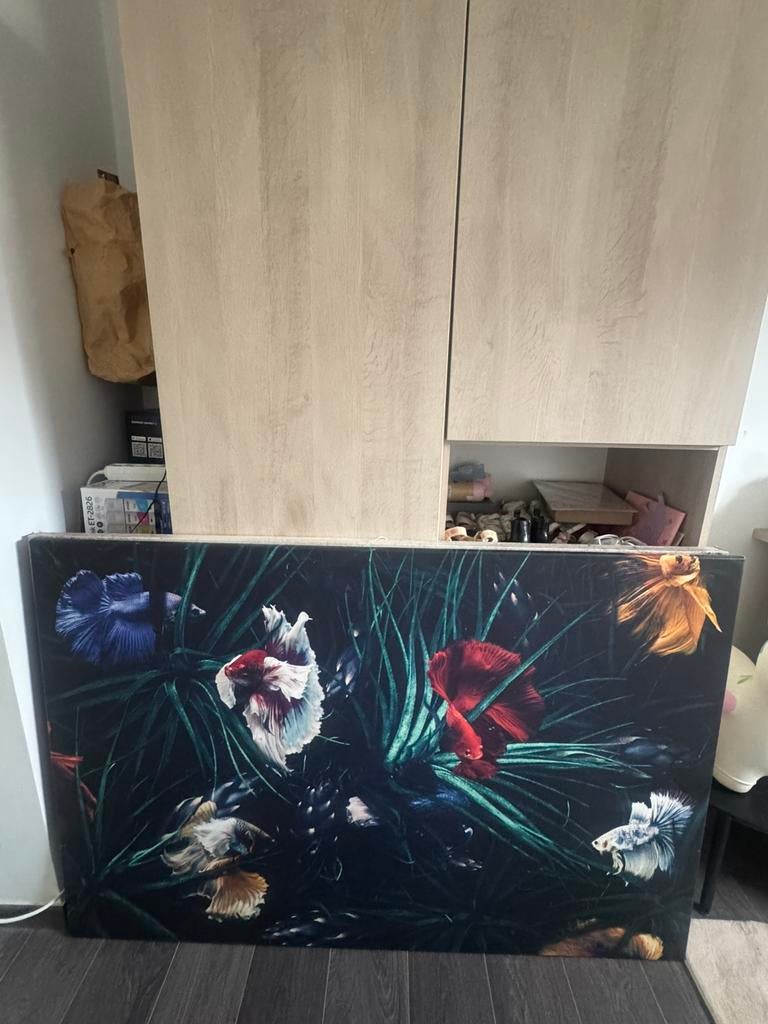 Canvas beta fish uniek, Ophalen