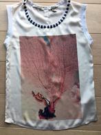 Topje maison scotch maat M, Kleding | Dames, Topjes, Maat 38/40 (M), Maison scotch, Beige, Ophalen of Verzenden