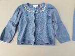 cardigan, gillet, pull, trui Hampton Bays 104, Kinderen en Baby's, Kinderkleding | Maat 104, Ophalen, Zo goed als nieuw