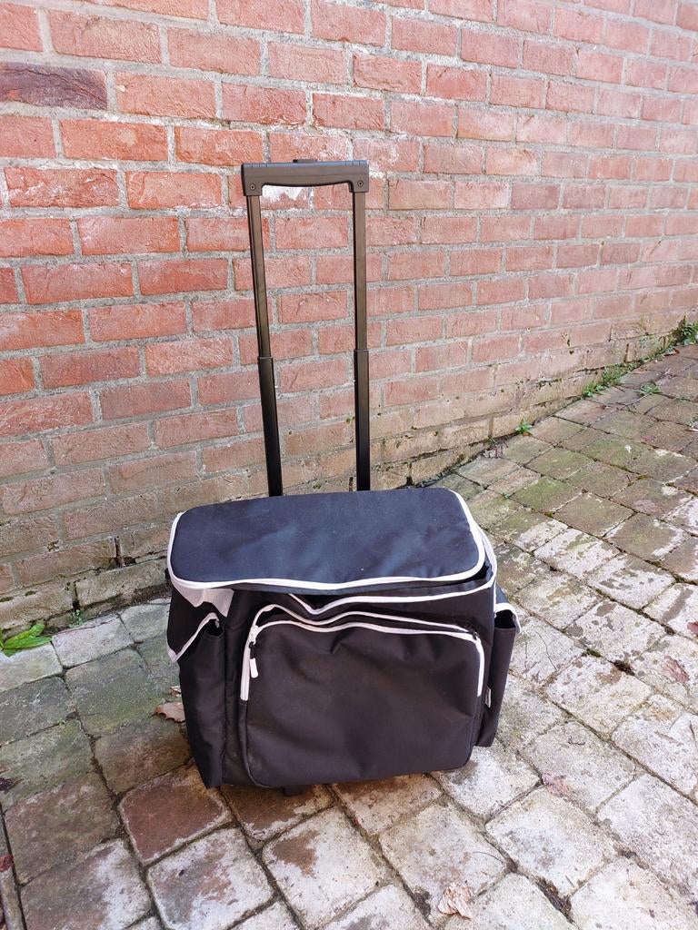 Boodschappentas trolley, Enlèvement