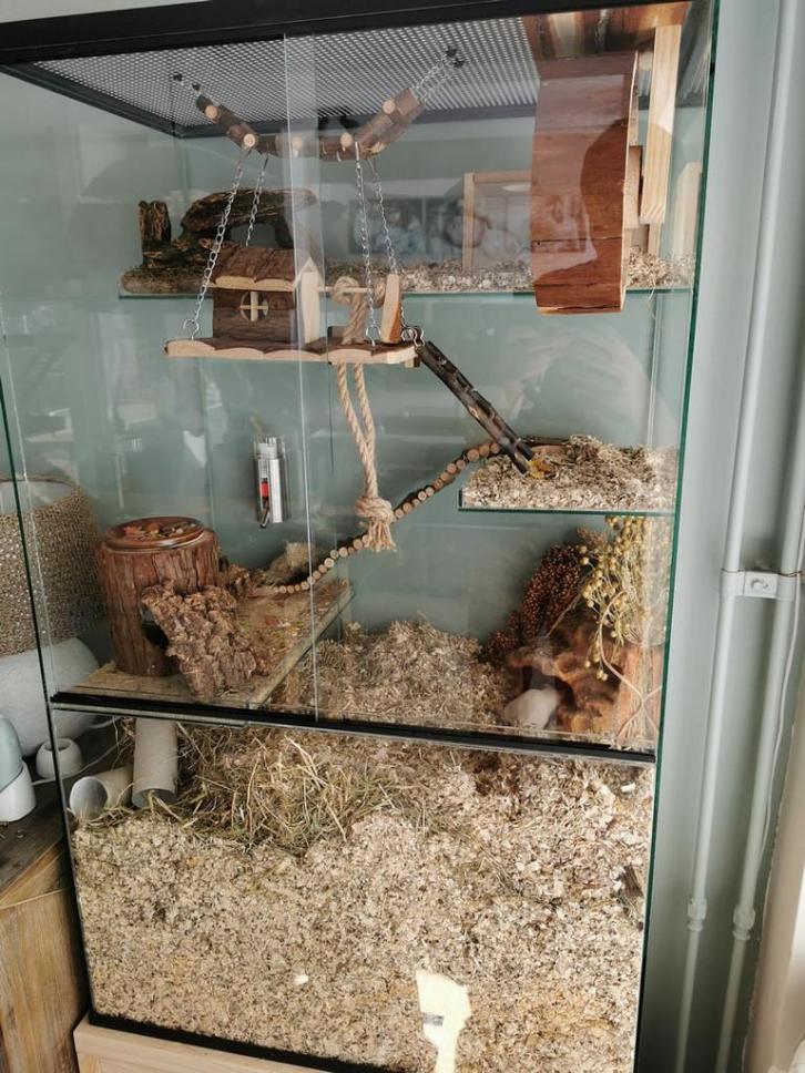 Groot gerbilarium 60x40x100 voor gerbils, Dieren en Toebehoren, Knaagdieren en Konijnen | Hokken en Kooien, Nieuw, Hok, 90 cm of meer