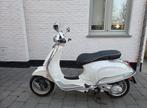 Vespa Primavera/50 CC, Autres modèles, Classe B (45 km/h), Enlèvement, Utilisé