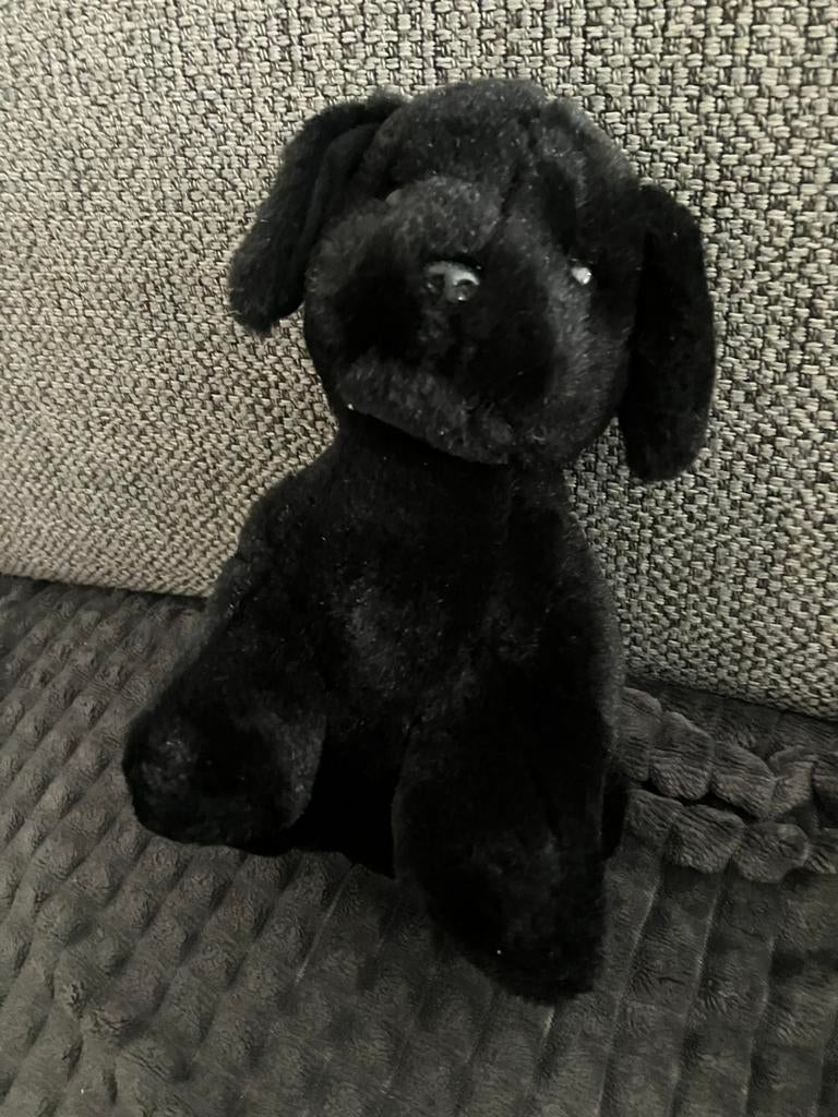 Knuffel zwarte hond 23 cm, Ophalen of Verzenden, Hond