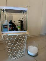 Aquarium volledige set, Ophalen of Verzenden, Gebruikt