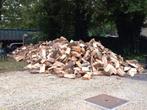 Bois chauffage vrac ou palette ou box payer à la livraison., 6 m³ ou plus, Envoi, Hêtre, Bûches