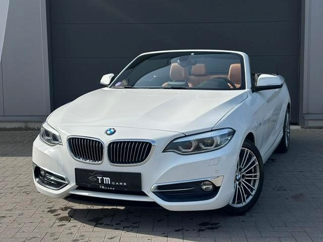 BMW 218I cabrio automaat, Auto's, BMW, Bedrijf, Te koop, 2 Reeks, ABS, Adaptieve lichten, Airbags, Airconditioning, Android Auto