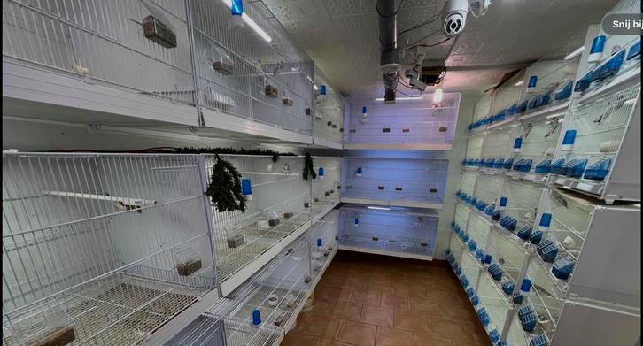 Vluchtkooien / broedkooien, Animaux & Accessoires, Oiseaux | Cages & Volières, Comme neuf, Métal, Enlèvement