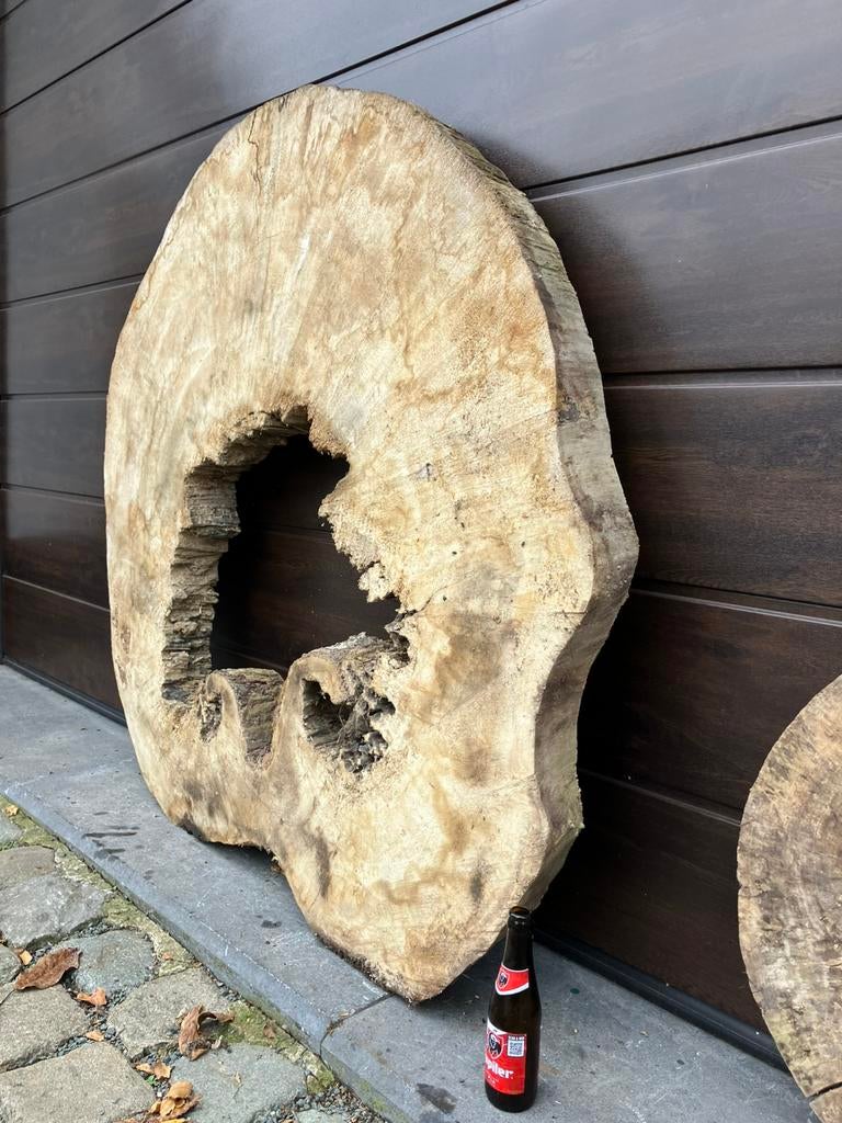 XL boomschijf met unieke vorm, Ophalen, Gebruikt