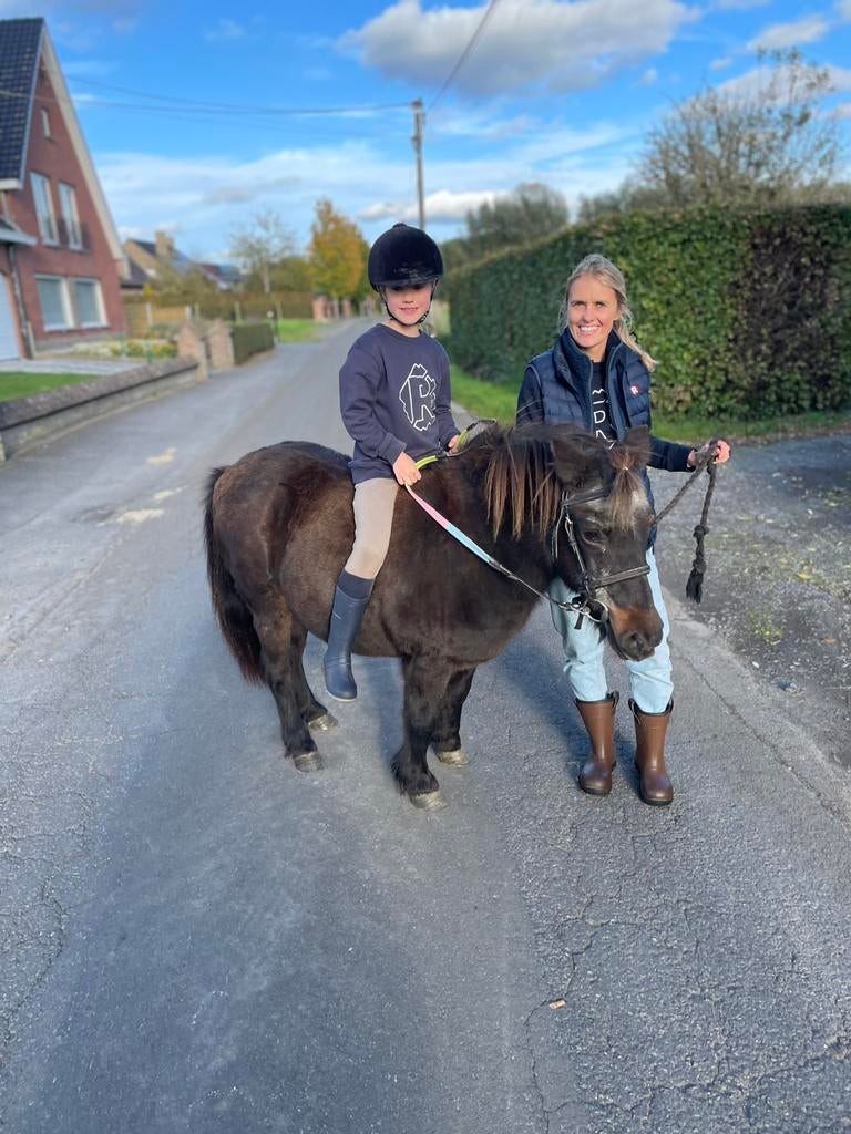 Rijpony shetlander merrie, Animaux & Accessoires, Poneys, Jument