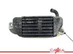 RADIATEUR BMW R 1200 C (R1200C 97) (01-1997/-), Motoren, Gebruikt