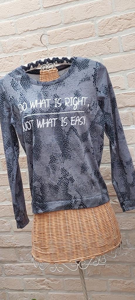 Trui maat s/m 46cm van oksel tot oksel, Kleding | Dames, Truien en Vesten, Ophalen of Verzenden, Zo goed als nieuw, Maat 36 (S)