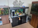 Juwel 180l aquarium met toebehoren, Ophalen