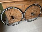 Mavic Ksyrium velgrem wielset , nieuw !, Fietsen en Brommers, Ophalen of Verzenden, Nieuw, Racefiets, Wiel