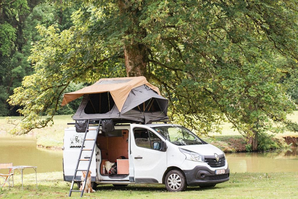 Renault trafic aménagé, 2910 kg, Achat, Euro 6, 3 places